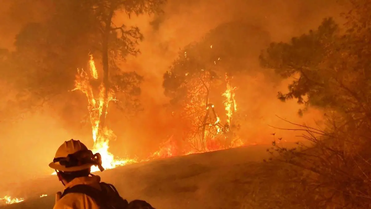 Incendios forestales